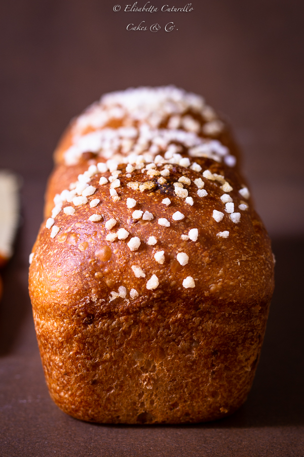 Brioche vegan alle mandorle e bacche di goji e inca