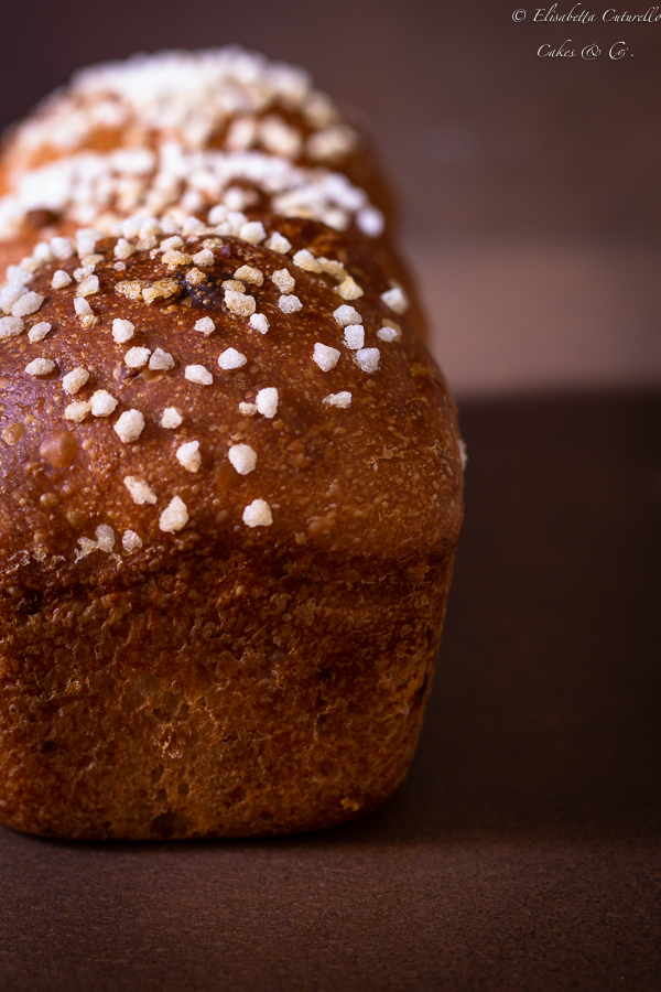 Brioche vegan alle mandorle e bacche di goji e inca